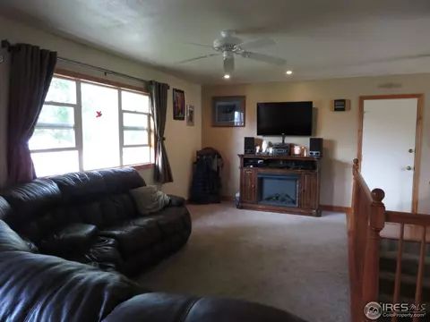 1001 Larch Dr, Windsor, CO 80550 photo 2
