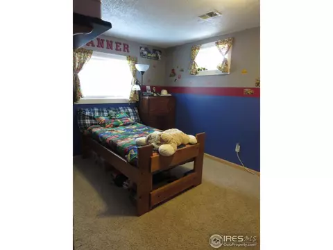 1001 Larch Dr, Windsor, CO 80550 photo 10