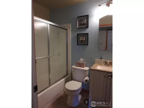 1001 Larch Dr, Windsor, CO 80550 photo 7