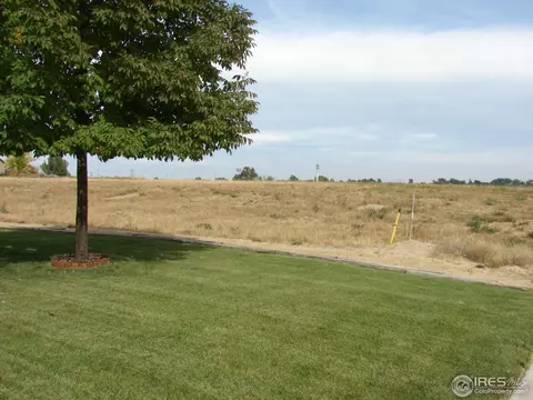 307 Jay Ave, Severance, CO 80546 photo 8