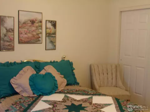 307 Jay Ave, Severance, CO 80546 photo 13