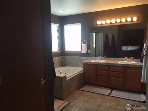 100 Rock Bridge Ct, Windsor, CO 80550 photo 10