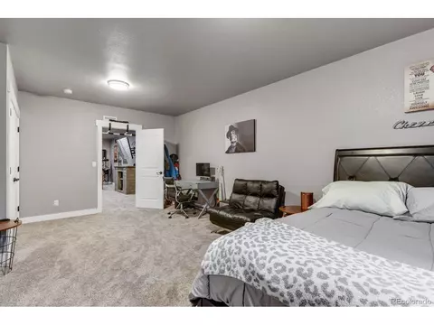 5516 Fairmount Dr, Windsor, CO 80550 photo 38