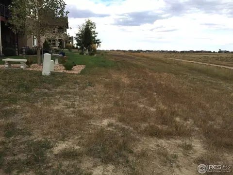 7035 Aladar Dr, Windsor, CO 80550 photo 4