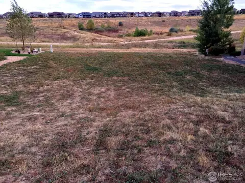 7035 Aladar Dr, Windsor, CO 80550 photo 1