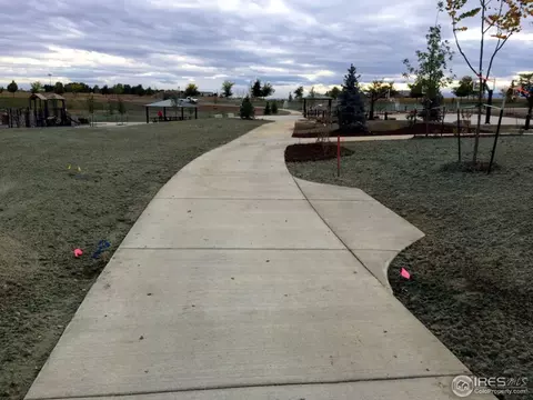 7035 Aladar Dr, Windsor, CO 80550 photo 6