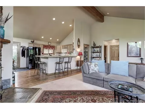 109 Royal Ridge Dr, Bailey, CO 80421 photo 10