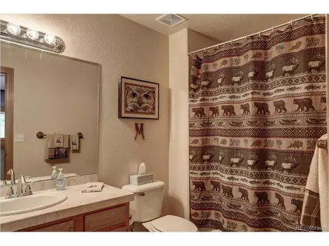 109 Royal Ridge Dr, Bailey, CO 80421 photo 29