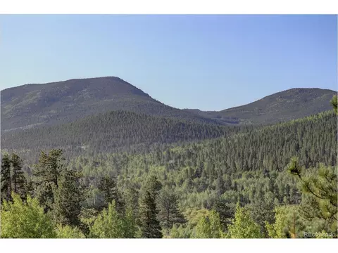 109 Royal Ridge Dr, Bailey, CO 80421 photo 37
