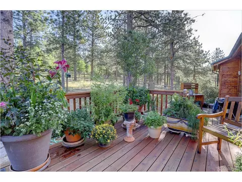 109 Royal Ridge Dr, Bailey, CO 80421 photo 38