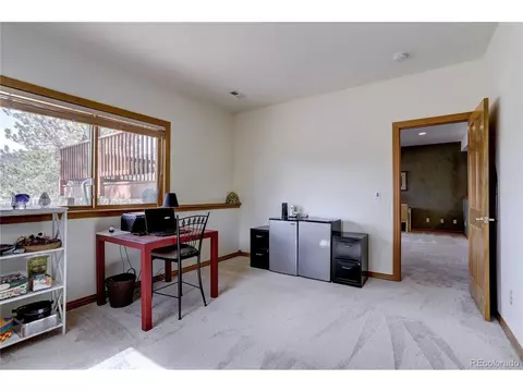 109 Royal Ridge Dr, Bailey, CO 80421 photo 28