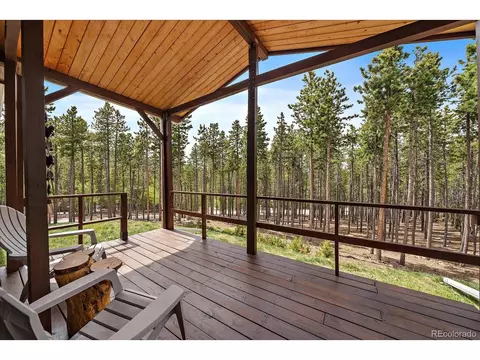 9098 Krashin Dr, Conifer, CO 80433