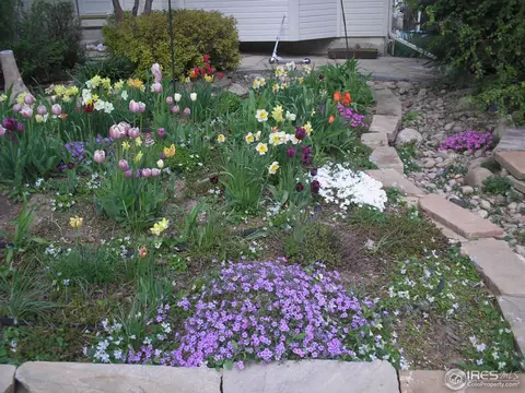 1214 Cedar Dr, Berthoud, CO 80513 photo 9