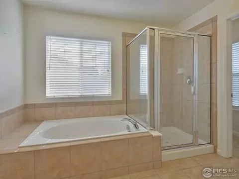 5123 Mt Buchanan Ave, Frederick, CO 80504 photo 16