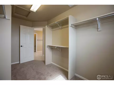 6062 Pryor Rd, Timnath, CO 80547 photo 18
