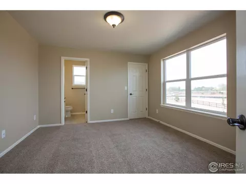 6062 Pryor Rd, Timnath, CO 80547 photo 19