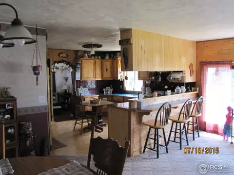 289 Logan St, Walden, CO 80480 photo 13