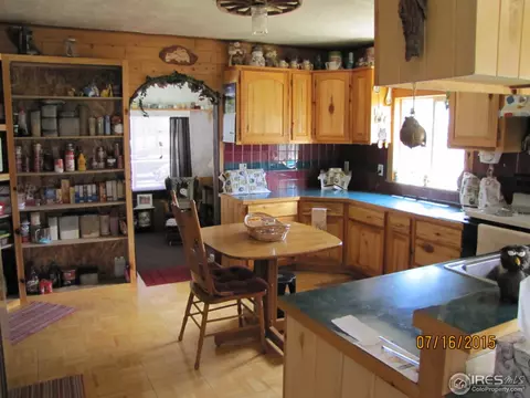 289 Logan St, Walden, CO 80480 photo 12