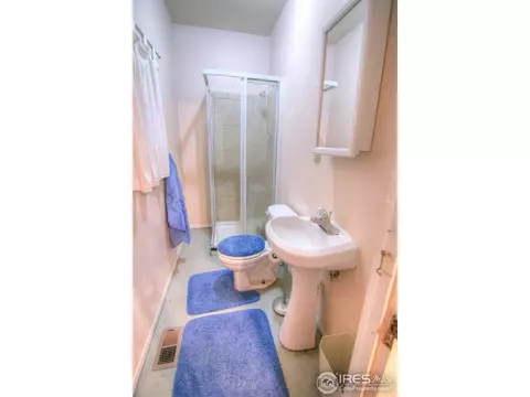 628 Elm St, Windsor, CO 80550 photo 15