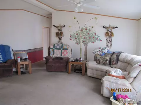 521 3rd St, Walden, CO 80480 photo 3
