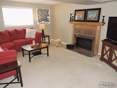 11079 Eudora Way, Thornton, CO 80233 photo 19