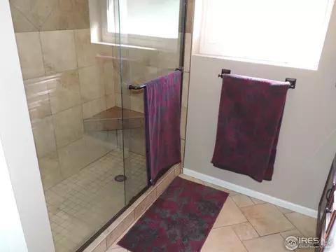 11079 Eudora Way, Thornton, CO 80233 photo 23
