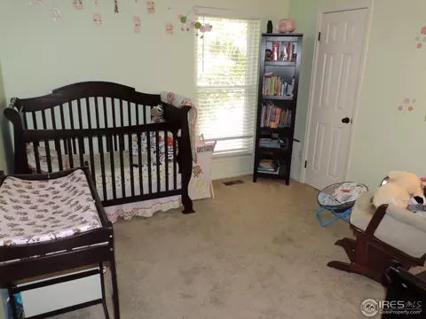 11079 Eudora Way, Thornton, CO 80233 photo 18