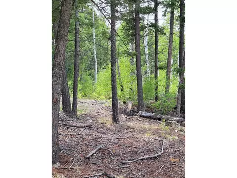 California Cir, Mosca, CO 81101