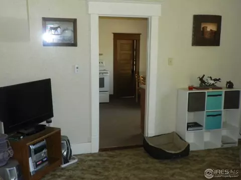 229 Locust St, Windsor, CO 80550 photo 7