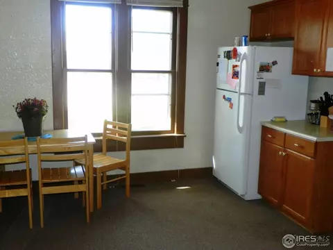 229 Locust St, Windsor, CO 80550 photo 11