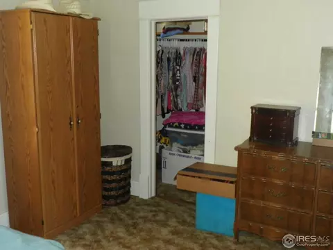 229 Locust St, Windsor, CO 80550 photo 14