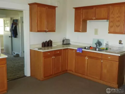 229 Locust St, Windsor, CO 80550 photo 9