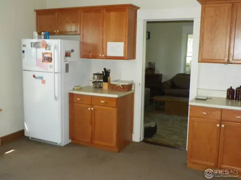 229 Locust St, Windsor, CO 80550 photo 10