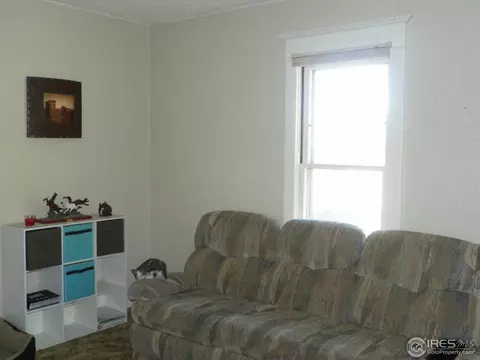 229 Locust St, Windsor, CO 80550 photo 5