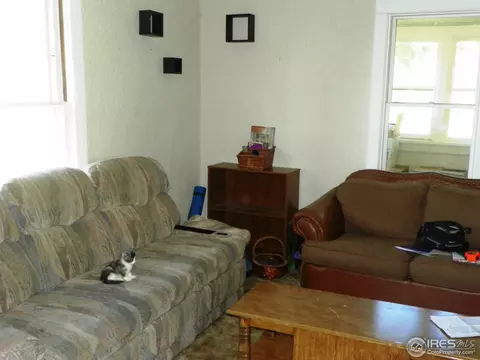 229 Locust St, Windsor, CO 80550 photo 6
