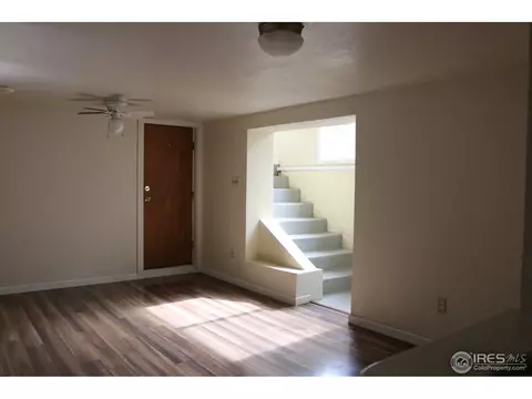 824 3rd Ave, Lyons, CO 80540 photo 18