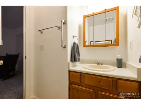 105 Chestnut St, Windsor, CO 80550 photo 17