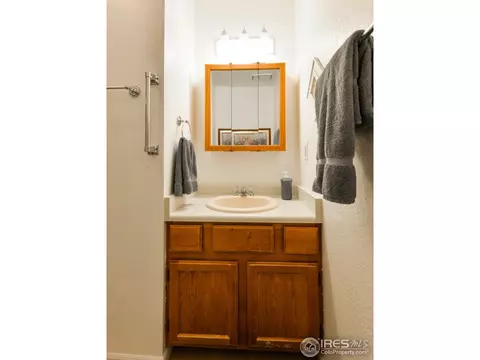 105 Chestnut St, Windsor, CO 80550 photo 16