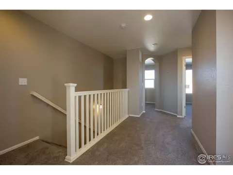 2147 Longfin Dr, Windsor, CO 80550 photo 19