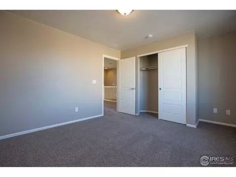 2147 Longfin Dr, Windsor, CO 80550 photo 16