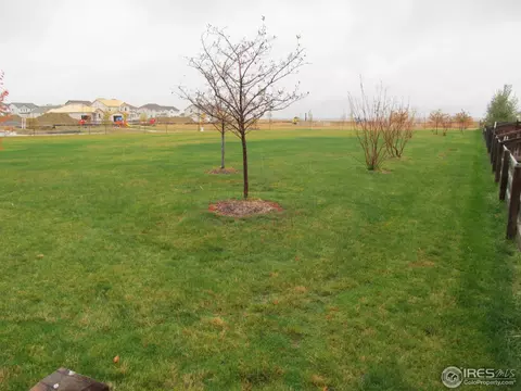6308 Spring Gulch St, Frederick, CO 80516 photo 24
