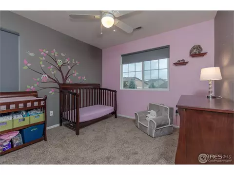 2450 E 127th Ave, Thornton, CO 80241 photo 14