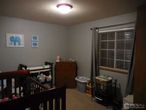 3321 Stirrup Ln, Evans, CO 80620 photo 7