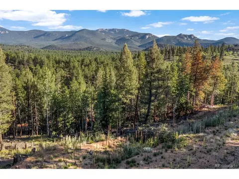 157 Saddle Horn Ln, Bailey, CO 80421 photo 6