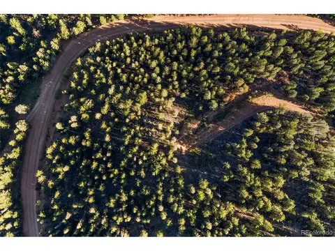 157 Saddle Horn Ln, Bailey, CO 80421 photo 9
