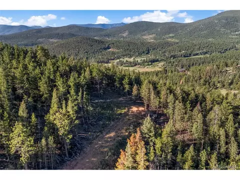 157 Saddle Horn Ln, Bailey, CO 80421 photo 5