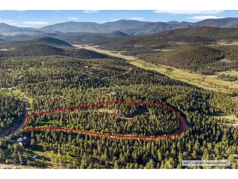 157 Saddle Horn Ln, Bailey, CO 80421 photo 3