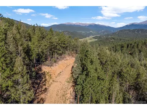 157 Saddle Horn Ln, Bailey, CO 80421 photo 7