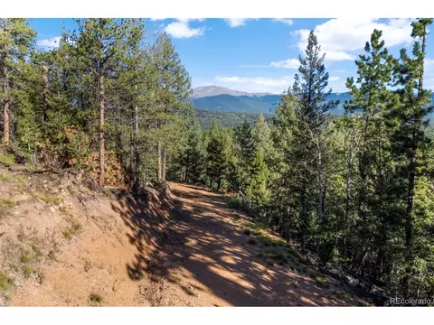 157 Saddle Horn Ln, Bailey, CO 80421 photo 10