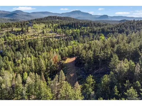157 Saddle Horn Ln, Bailey, CO 80421 photo 4